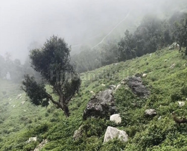 16 nali residential plot for sale  in tehri garhwal near rishikesh
