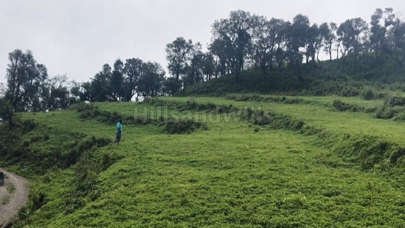 ₹2 Cr&nbsp;|&nbsp;25 nali residential plot for sale  in tehri garhwal rishikesh