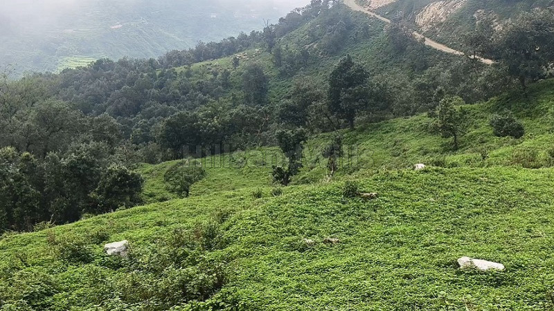 25 nali residential plot for sale  in tehri garhwal rishikesh