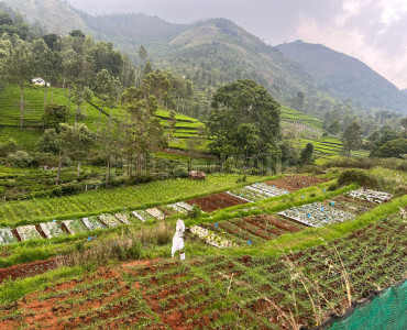 1.2 acres residential plot for sale  in naragiri kotagiri