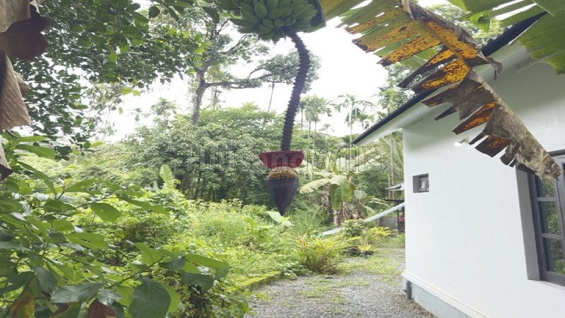 ₹82 Lac | 3bhk independent house for sale in mananthavady wayanad