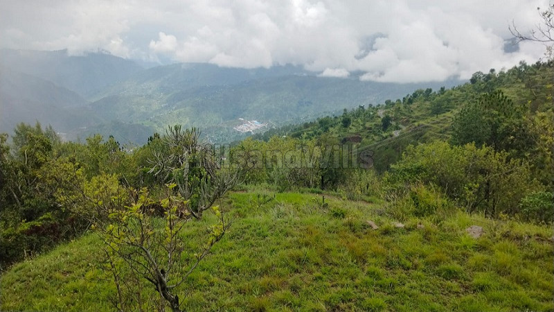 ₹7.50 Cr&nbsp;|&nbsp;50 nali agriculture land for sale  in tehri lake near mussoorie