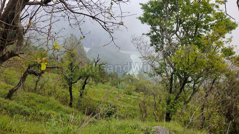 ₹7.50 Cr&nbsp;|&nbsp;50 nali agriculture land for sale  in tehri lake near mussoorie