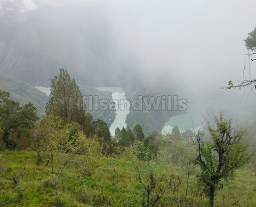 50 nali agriculture land for sale  in tehri lake near mussoorie