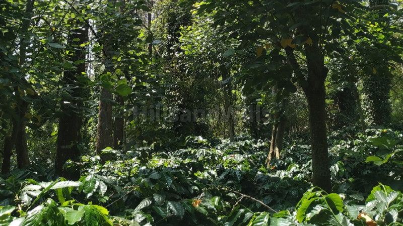 ₹85 Lac | 1 acres agriculture land for sale in biligiriranga hills,