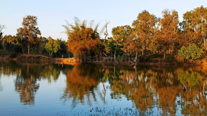 ₹85 Lac | 1 acres agriculture land for sale in biligiriranga hills,