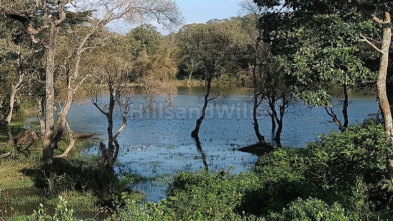 ₹85 Lac | 1 acres agriculture land for sale in biligiriranga hills,