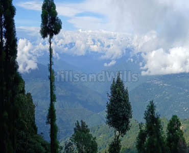 2.32 acres commerical land for sale  in tinchulay darjeeling