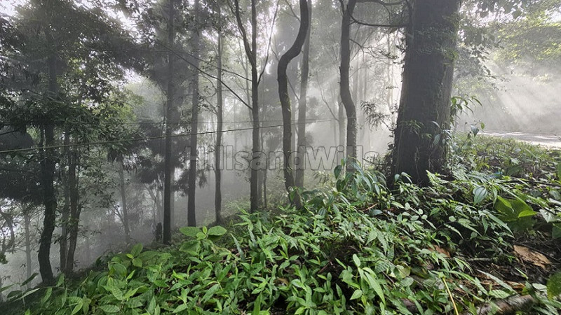 ₹4 Cr&nbsp;|&nbsp;2.32 acres commerical land for sale  in tinchulay darjeeling