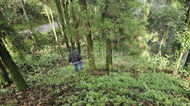 ₹4 Cr&nbsp;|&nbsp;2.32 acres commerical land for sale  in tinchulay darjeeling