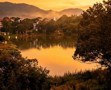 21 cents  lake view residential land for sale  in boat house area yelagiri
