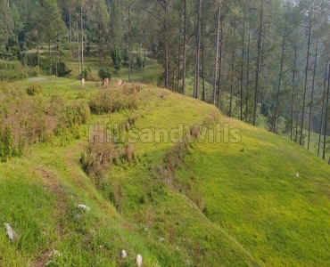 6 nali residential plot for sale  in agrakhal rishikesh
