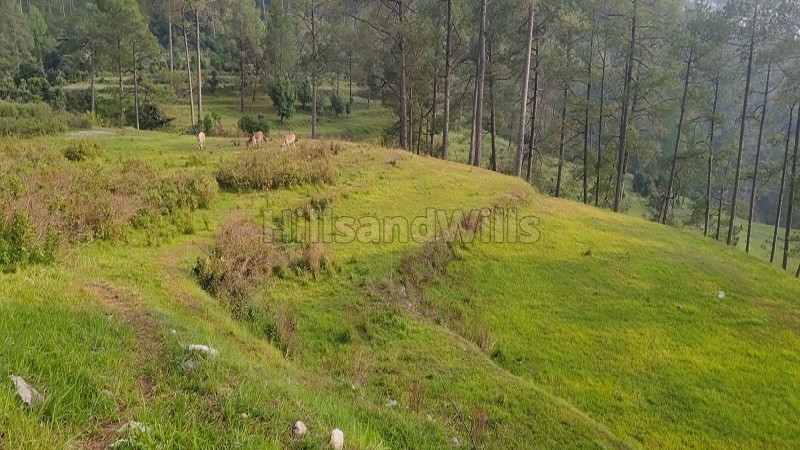 ₹1 Cr | 6 nali residential plot for sale in agrakhal rishikesh