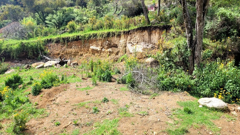 ₹60 Lac&nbsp;|&nbsp;5 cents residential plot for sale  in naidupuram kodaikanal