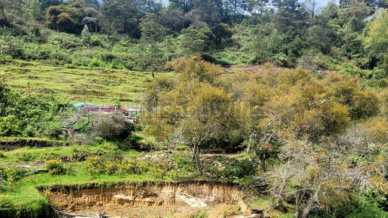 ₹60 Lac&nbsp;|&nbsp;5 cents residential plot for sale  in naidupuram kodaikanal