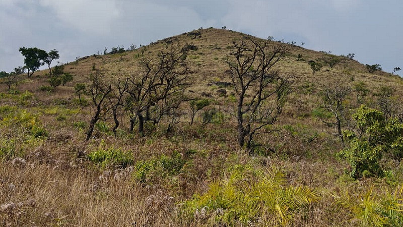 ₹30 Cr | 100 acres agriculture land for sale in north kodagu coorg