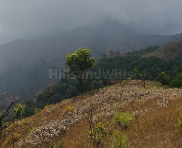 100 acres agriculture land for sale  in north kodagu coorg