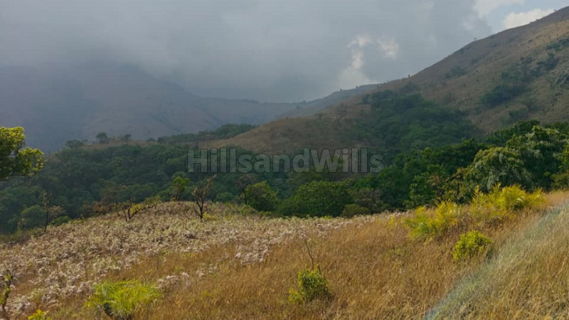 ₹30 Cr | 100 acres agriculture land for sale in north kodagu coorg