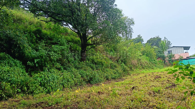 ₹6 Cr&nbsp;|&nbsp;30 ares  residential land for sale  in rajapuri road panchgani