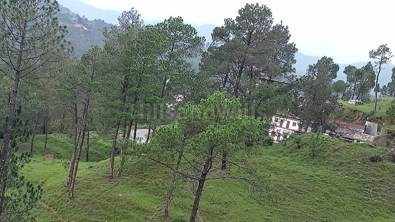 ₹30 Lac | 6000 sq.ft. agriculture land for sale near kausani uttarakhand