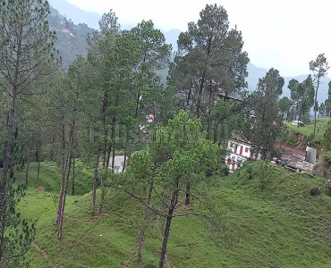 6000 sq.ft. agriculture land for sale  near kausani uttarakhand