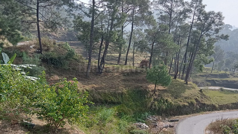 ₹30 Lac | 6000 sq.ft. agriculture land for sale near kausani uttarakhand