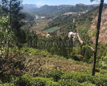 12000 sq.ft. tea estate for sale  near kodanadu estate kotagiri