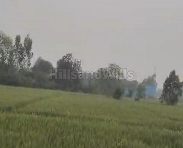 36 bigha agriculture land for sale  in ramnagar,  jim corbett near nainital
