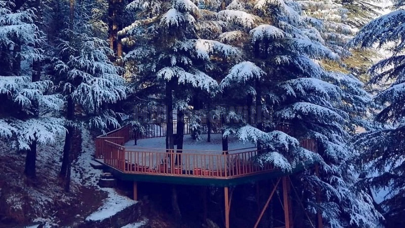 ₹2 Cr | 2bhk cottage for sale in mashobra shimla