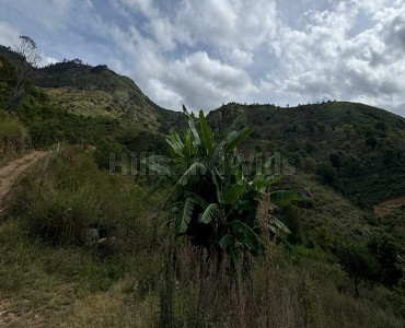 43600 sq.ft. agriculture land for sale  in pallangi kodaikanal