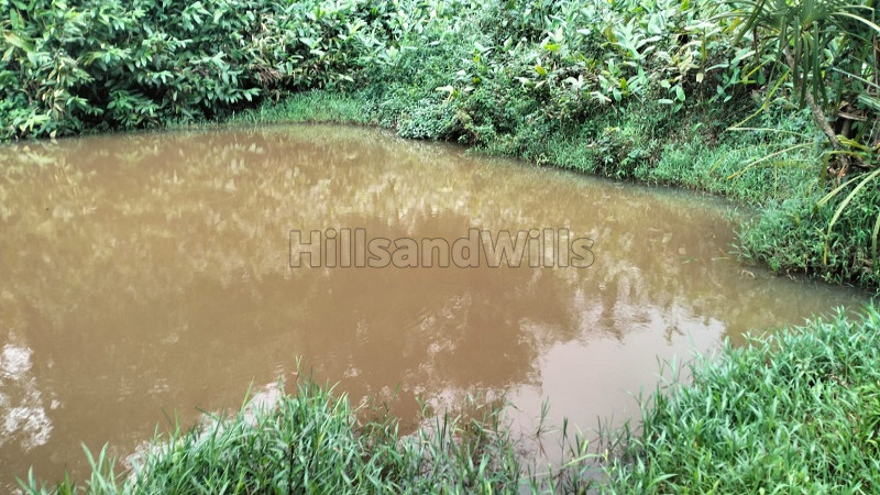 ₹3.20 Cr&nbsp;|&nbsp;3.45 acres  coffee estate with farm house for sale  in mudigere chikmagalur