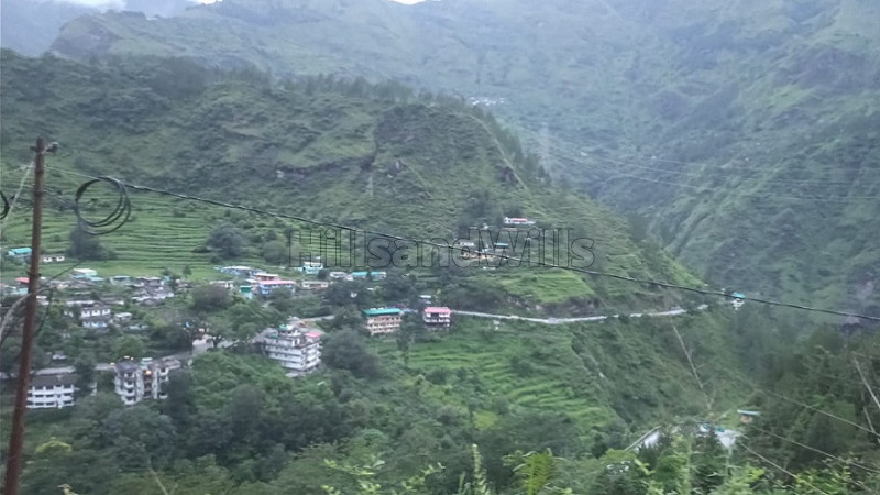 ₹1.20 Cr&nbsp;|&nbsp;7421 sq.ft.  land for sale  in badrinath highway near auli hill station uttarakhand
