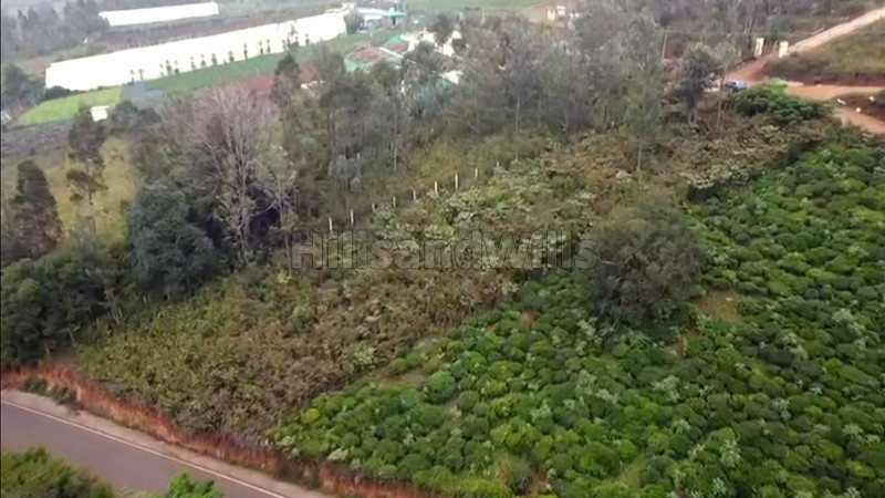 ₹1.38 Cr | 69 cents commerical land for sale in kukkal kotagiri