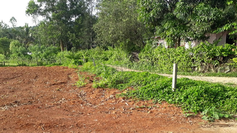 ₹13.25 Lac&nbsp;|&nbsp;5 cents residential plot for sale  in ambatty coorg
