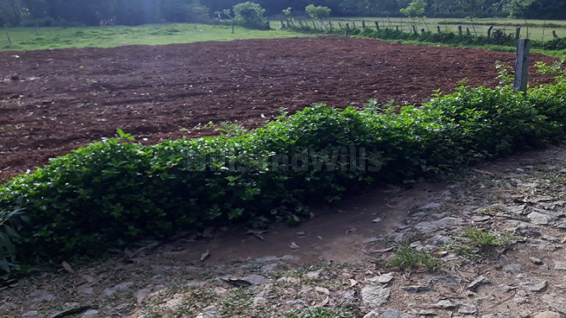 ₹13.25 Lac&nbsp;|&nbsp;5 cents residential plot for sale  in ambatty coorg
