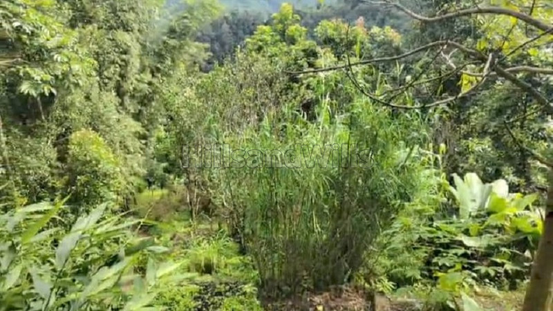 ₹35 Lac&nbsp;|&nbsp;1 acres agriculture land for sale  in lower kainjalia busty darjeeling