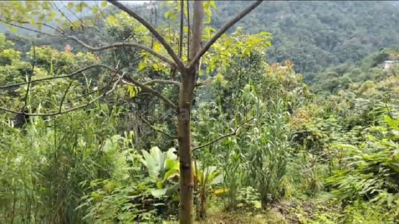 ₹35 Lac&nbsp;|&nbsp;1 acres agriculture land for sale  in lower kainjalia busty darjeeling