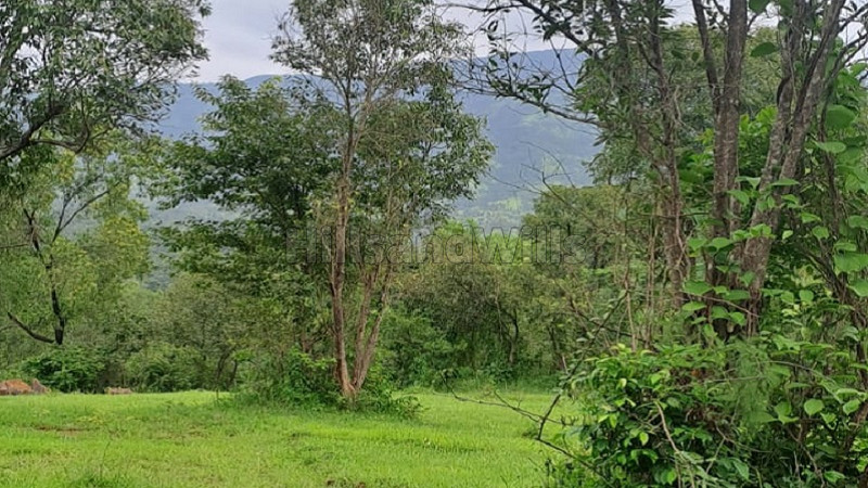 ₹3.90 Cr&nbsp;|&nbsp;6 acres agriculture land for sale  in tapols mahabaleshwar