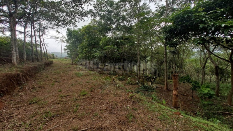 ₹40 Lac&nbsp;|&nbsp;1 acres  land for sale  in mananthavady wayanad