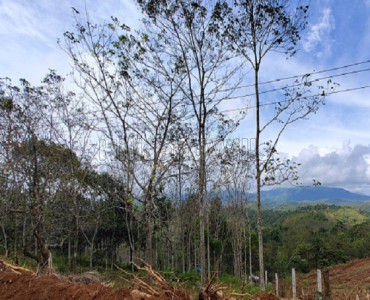 1 acres  land for sale  in mananthavady wayanad