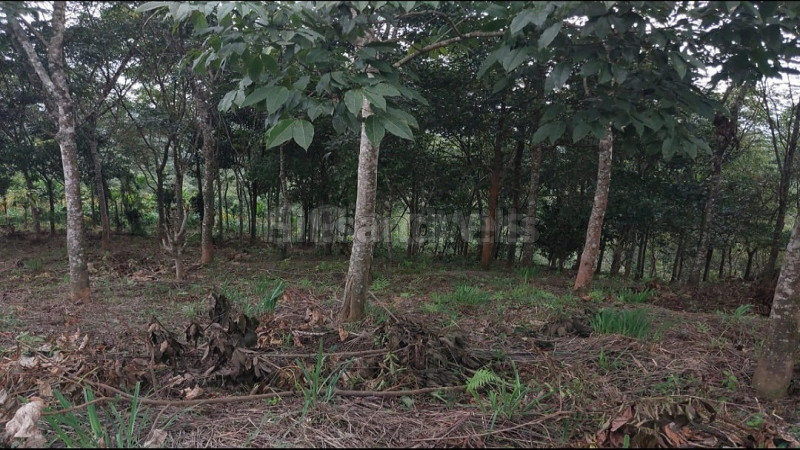 ₹40 Lac&nbsp;|&nbsp;1 acres  land for sale  in mananthavady wayanad