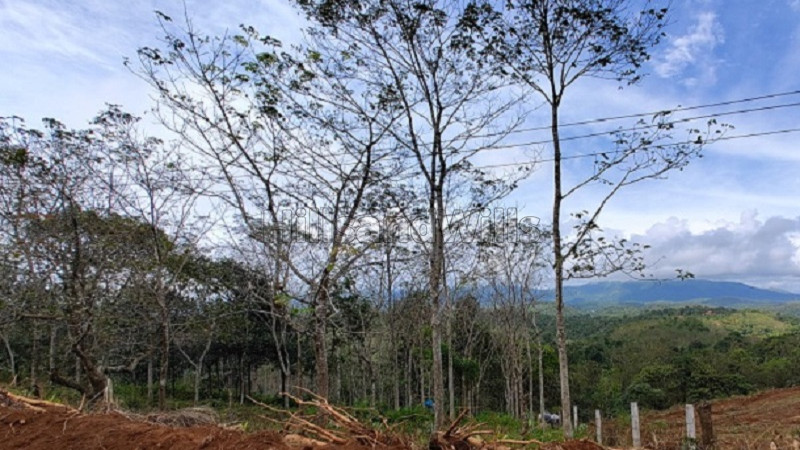 ₹40 Lac&nbsp;|&nbsp;1 acres  land for sale  in mananthavady wayanad