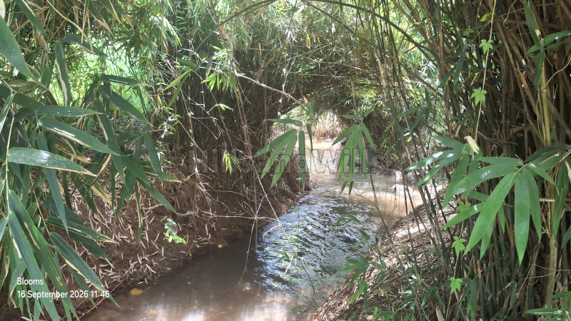 ₹1.05 Cr&nbsp;|&nbsp;3 acres agriculture land for sale  in mananthavady wayanad
