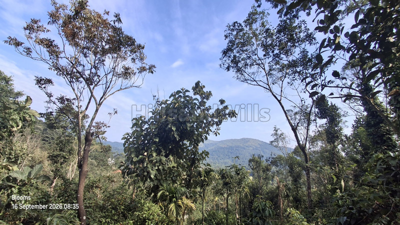 ₹1.05 Cr&nbsp;|&nbsp;3 acres agriculture land for sale  in mananthavady wayanad