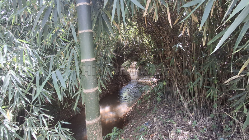 ₹1.05 Cr&nbsp;|&nbsp;3 acres agriculture land for sale  in mananthavady wayanad