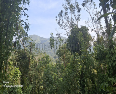 3 acres agriculture land for sale  in mananthavady wayanad