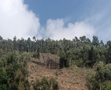 485 cents commerical land for sale  near vattavada, munnar