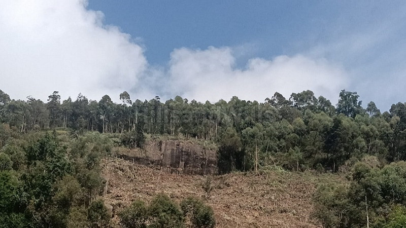 485 cents commerical land for sale  near vattavada, munnar