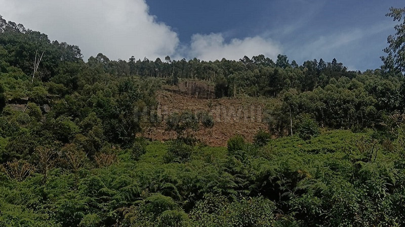 ₹8.50 Cr | 485 cents commerical land for sale near vattavada, munnar