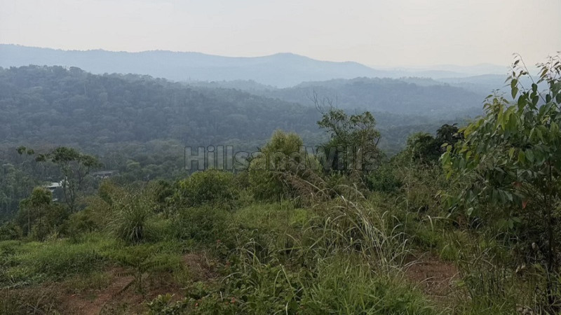 ₹1.50 Cr | 1.07 acres land for sale in rajakumary munnar